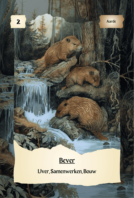 krachtdieren kaart Bever