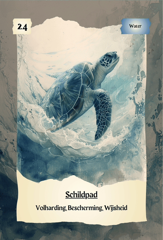 krachtdieren kaart Schildpad