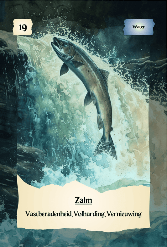 krachtdieren kaart Zalm