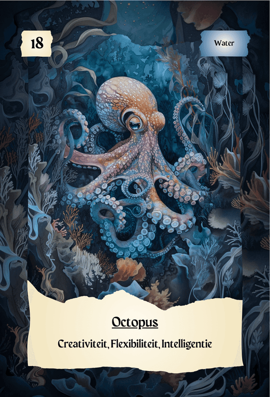 krachtdieren kaart Octopus