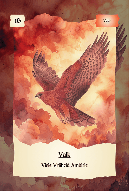 krachtdieren kaart Valk