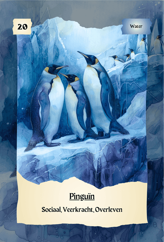krachtdieren kaart Pinguïn