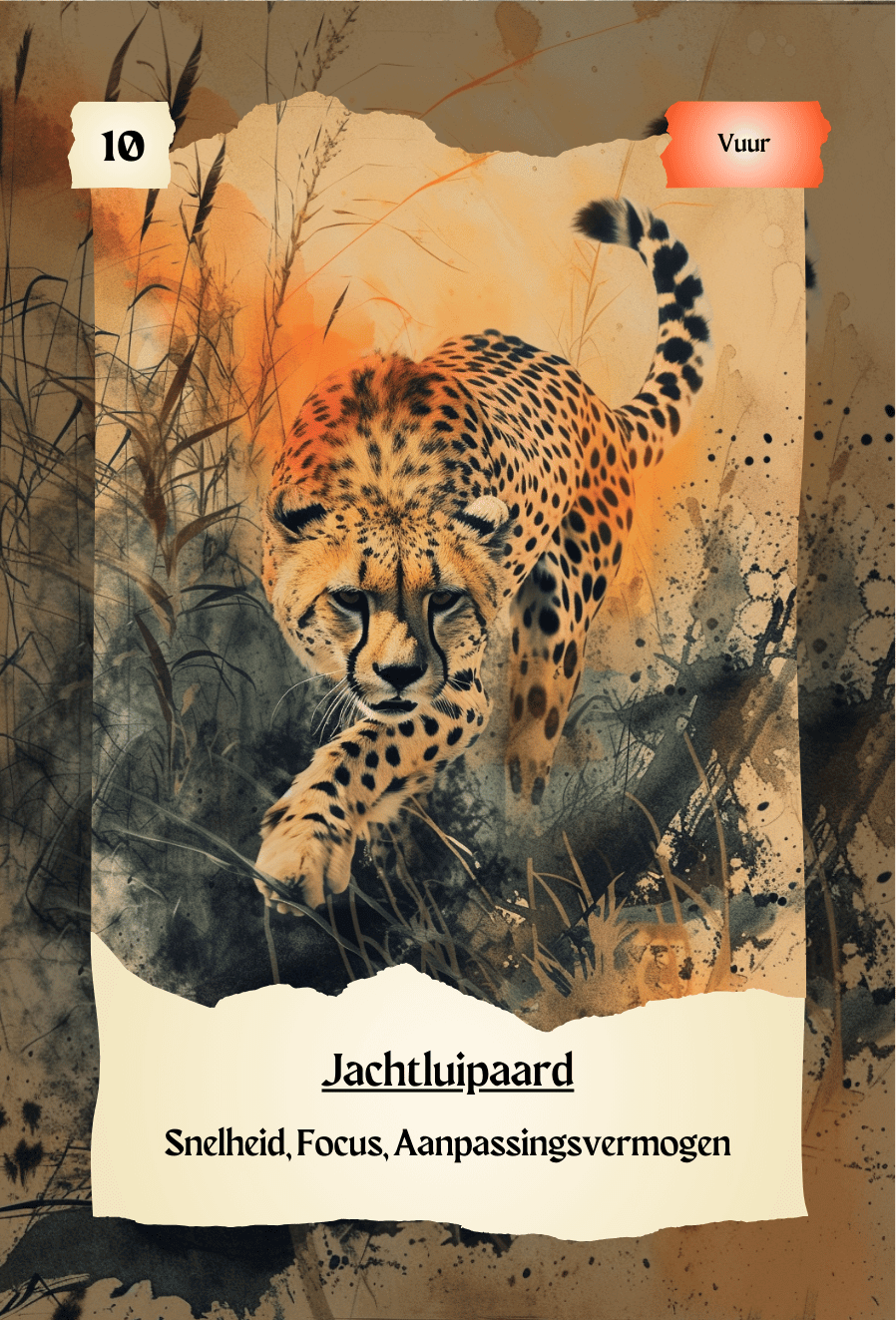krachtdieren kaart Jachtluipaard
