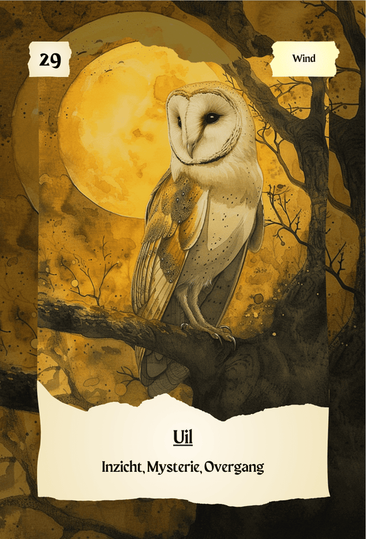 krachtdieren kaart Uil