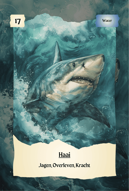 krachtdieren kaart Haai